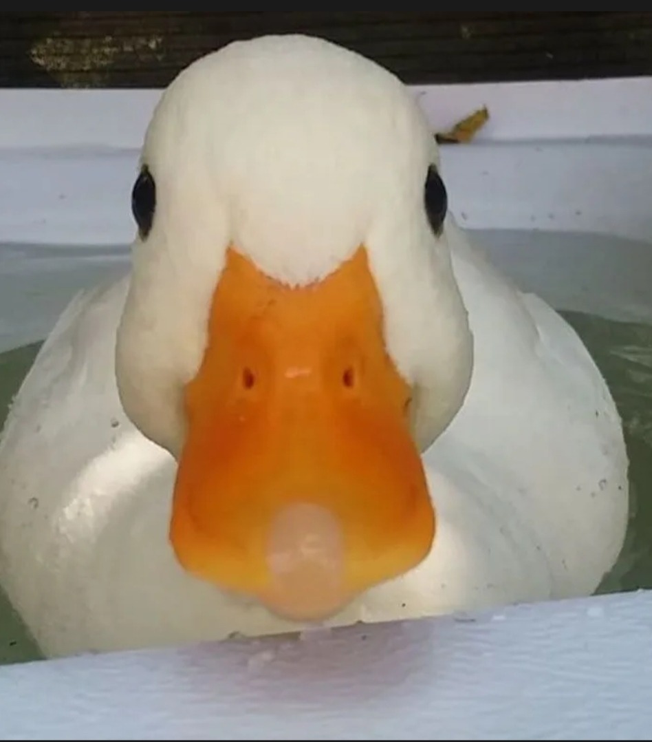 Ikbal - Chauny - Aisne | Massage Nue