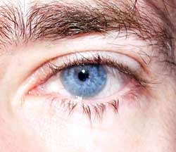 Nicodeme - LeThil-Riberpré - Seine-Maritime | Massage Nue